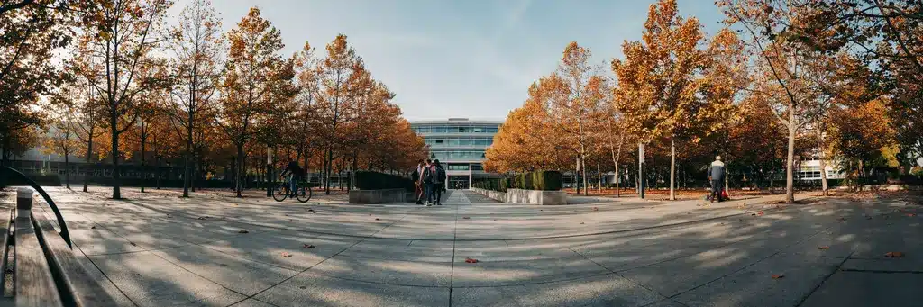 Deux parcours convergeant vers un campus universitaire pour symboliser la réforme des études de santé